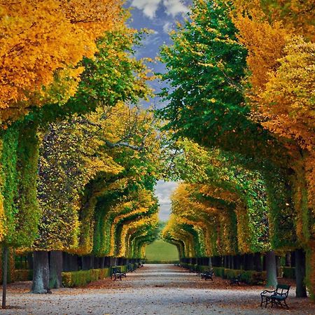 Regal Retreat Intimate Elegance Near Schoenbrunn Palace Wien Exterior foto