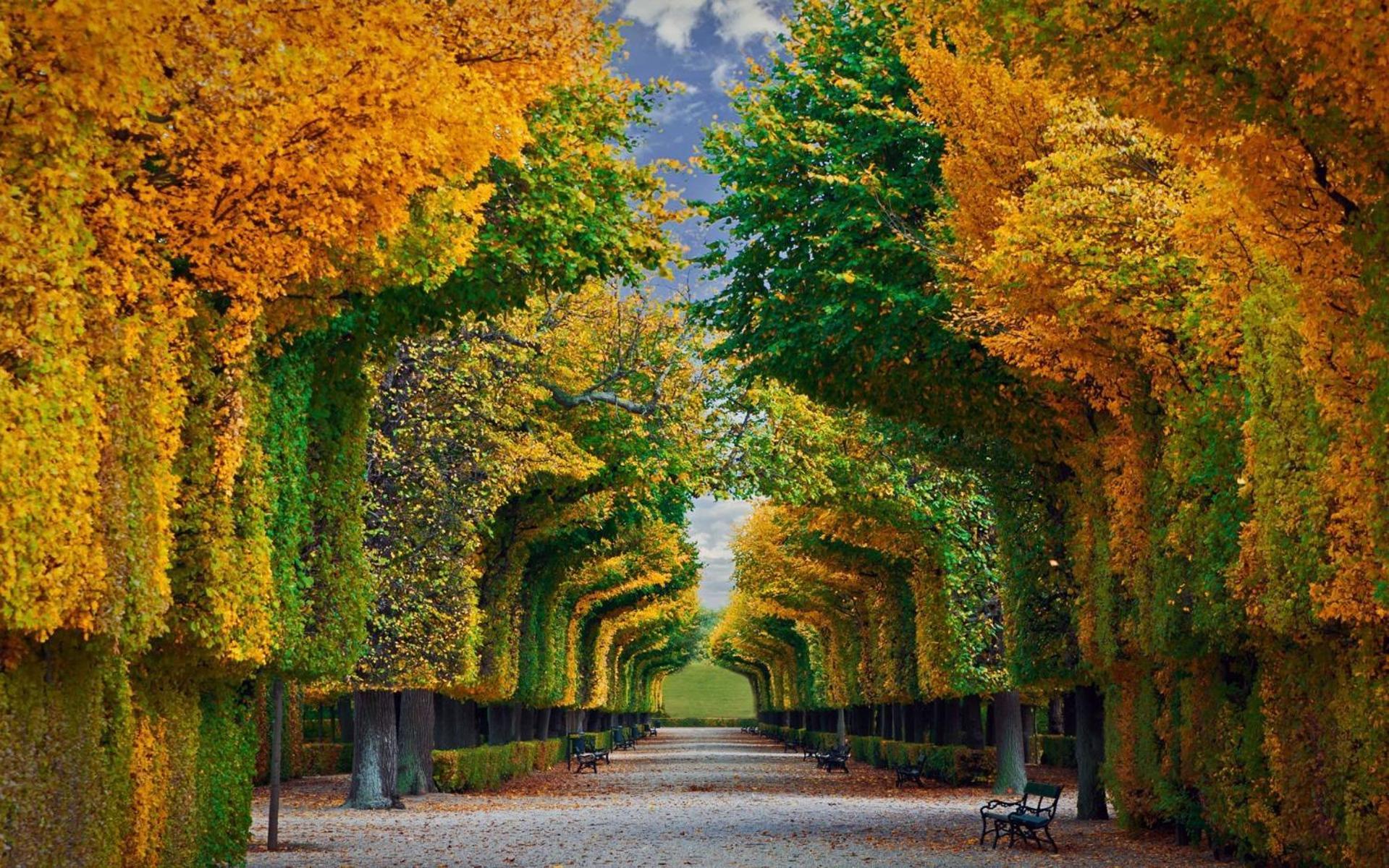 Regal Retreat Intimate Elegance Near Schoenbrunn Palace Wien Exterior foto